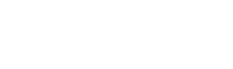 logo-Funzine-ingles
