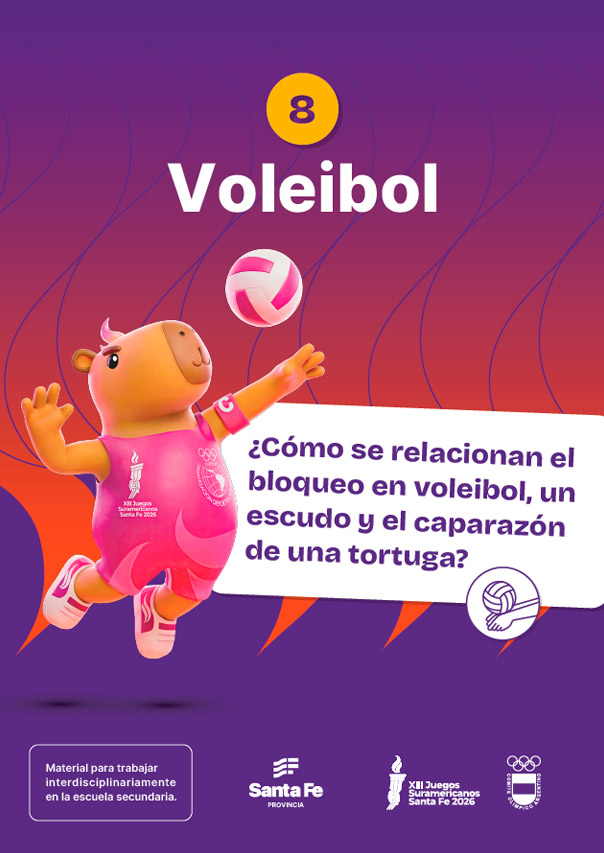 Voleibol